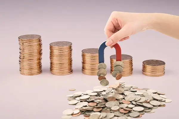 龙岗龙洲学校网上招生