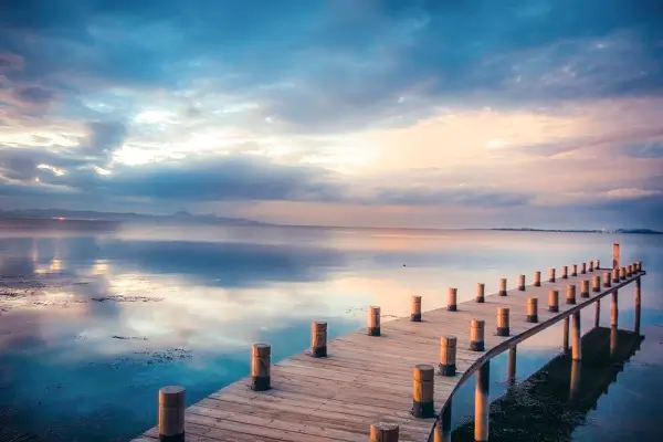 万华指定招生学校