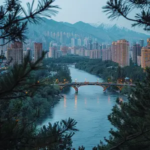 复旦附属闵行学校招生